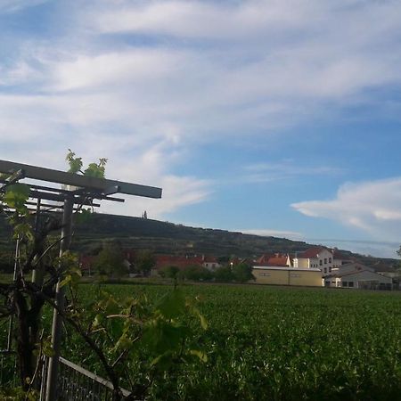 Pansion Brda Lägenhet Rohrendorf bei Krems Exteriör bild