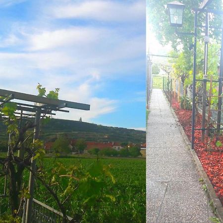 Pansion Brda Lägenhet Rohrendorf bei Krems Exteriör bild