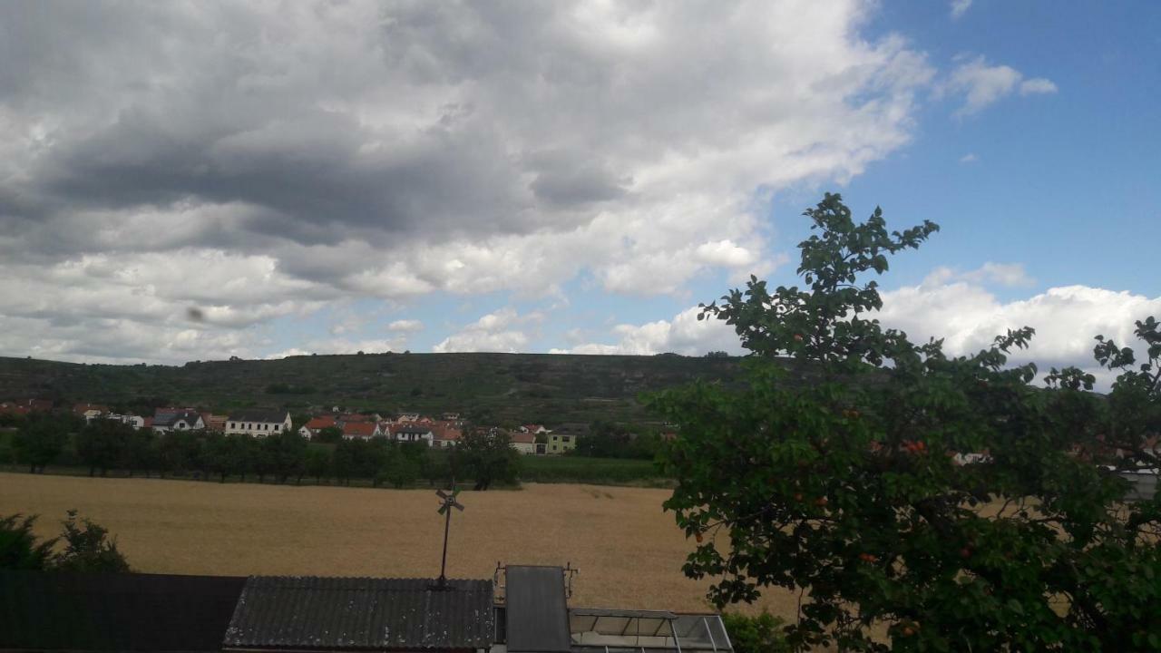 Pansion Brda Lägenhet Rohrendorf bei Krems Exteriör bild